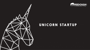 UNICORN STARTUP COMPANY