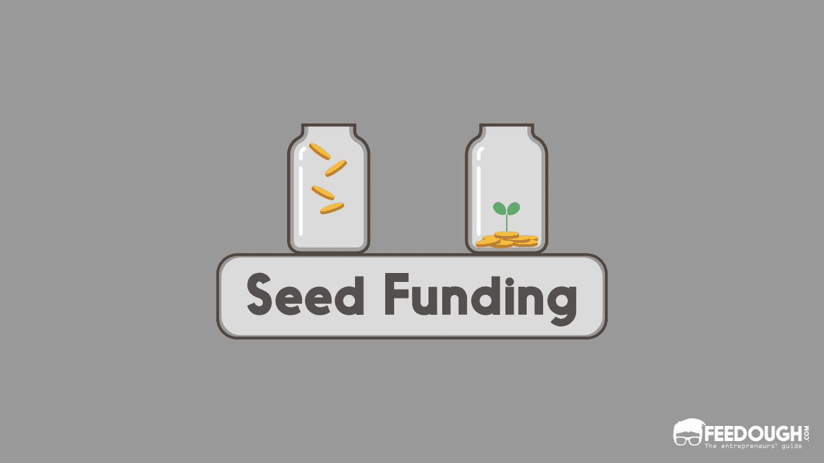 Seed Funding Explained: What It Is & How It Works Seed funding