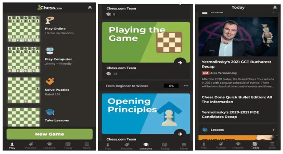 chess.com business model features