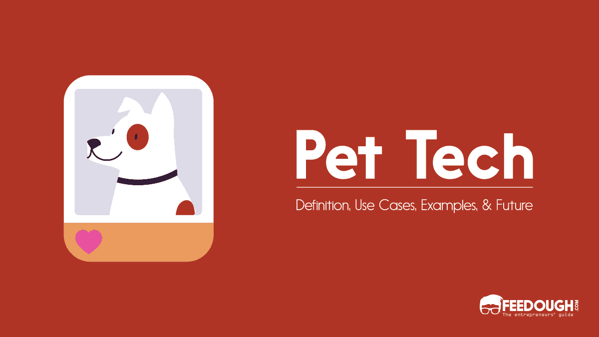 What Is Pet Tech? – Use Cases, Examples, & Future pet tech