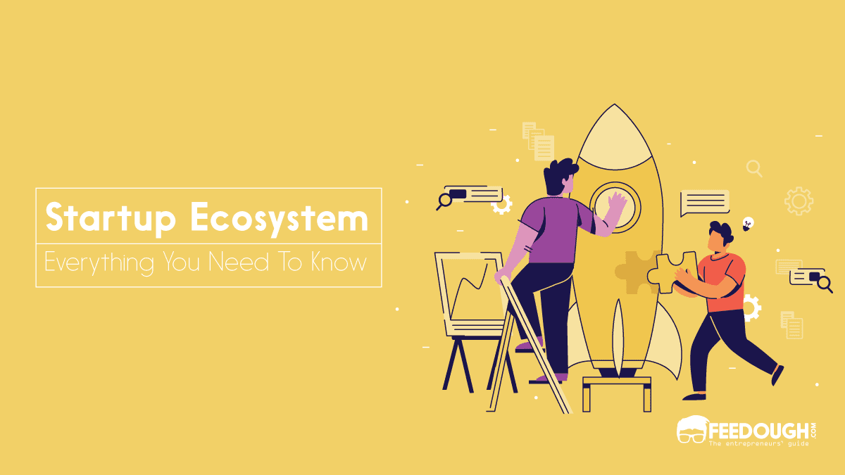 What Is Startup Ecosystem? How Does It Work? startup ecosystem