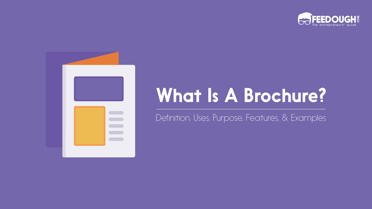What Is A Brochure? - Types, Uses, & Examples what is a brochure
