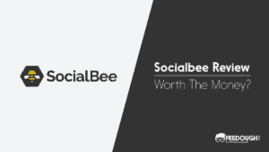 SocialBee Review
