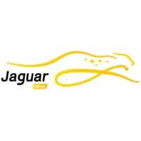 Jaguar Microsystems